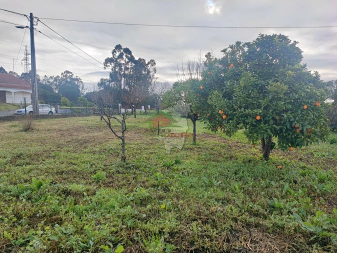 Moradia T3 para Venda em Casais e Alviobeira Foto 30