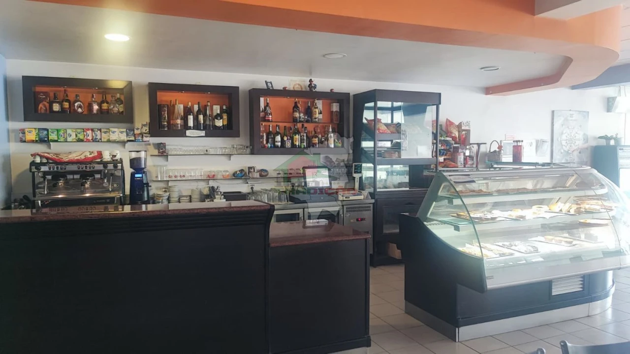 Loja para Trespasse em Sertã Foto 11