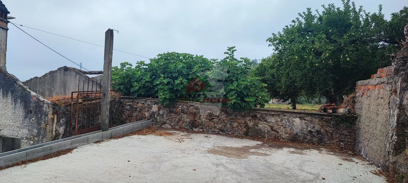 Quinta T10 para Venda em Pedrogão Pequeno Foto 48