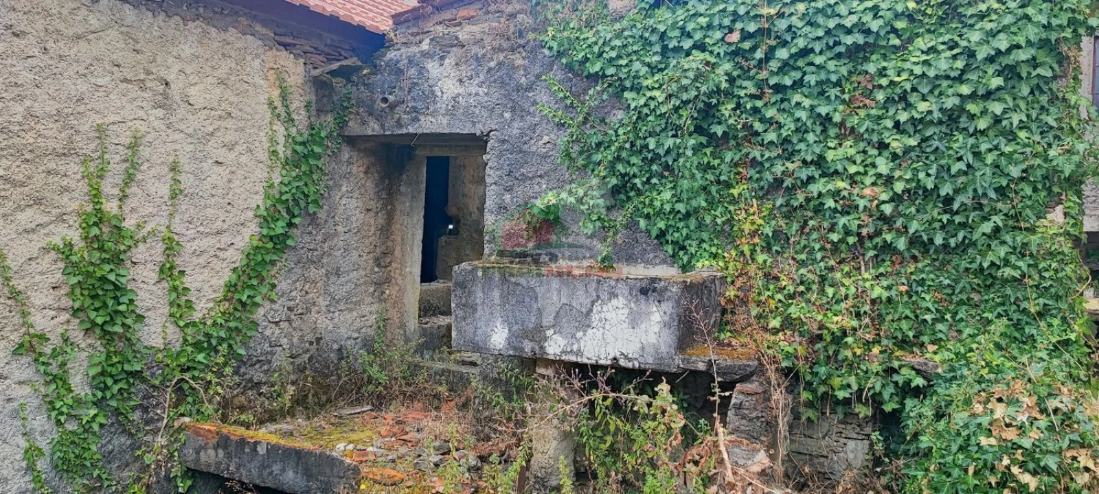 Quinta T10 para Venda em Pedrogão Pequeno Foto 59