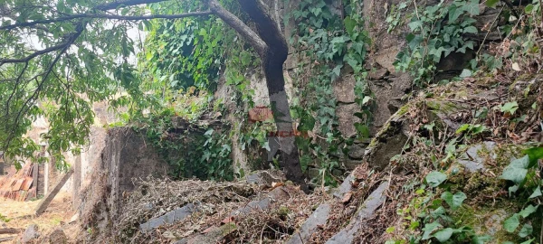 Quinta T10 para Venda em Pedrogão Pequeno