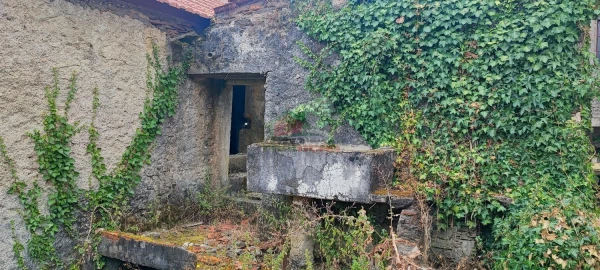 Quinta T10 para Venda em Pedrogão Pequeno