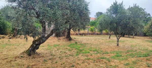 Quinta T10 para Venda em Pedrogão Pequeno