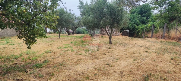 Quinta T10 para Venda em Pedrogão Pequeno