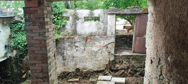 Quinta T10 para Venda em Pedrogão Pequeno