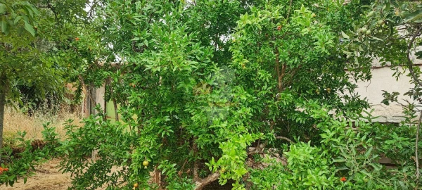 Quinta T10 para Venda em Pedrogão Pequeno