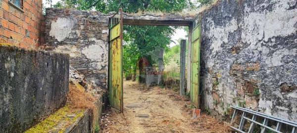 Quinta T10 para Venda em Pedrogão Pequeno
