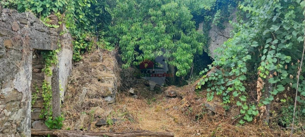 Quinta T10 para Venda em Pedrogão Pequeno