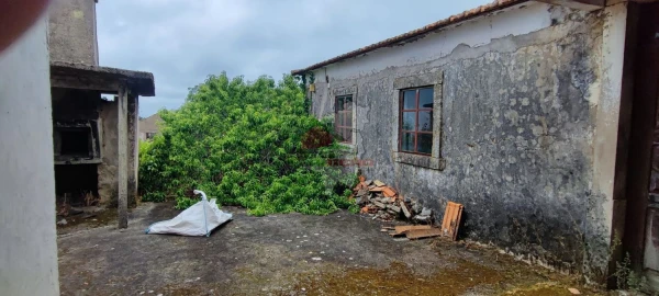 Quinta T10 para Venda em Pedrogão Pequeno