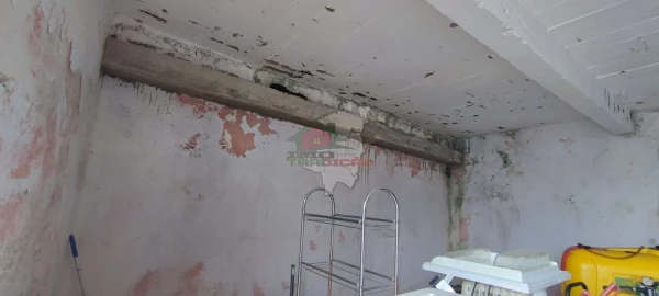 Quinta T10 para Venda em Pedrogão Pequeno