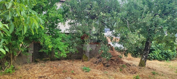 Quinta T10 para Venda em Pedrogão Pequeno