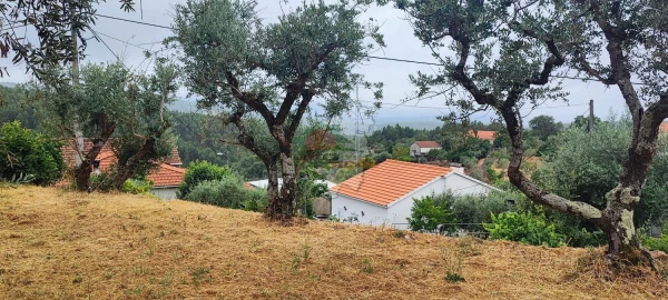 Quinta T10 para Venda em Pedrogão Pequeno