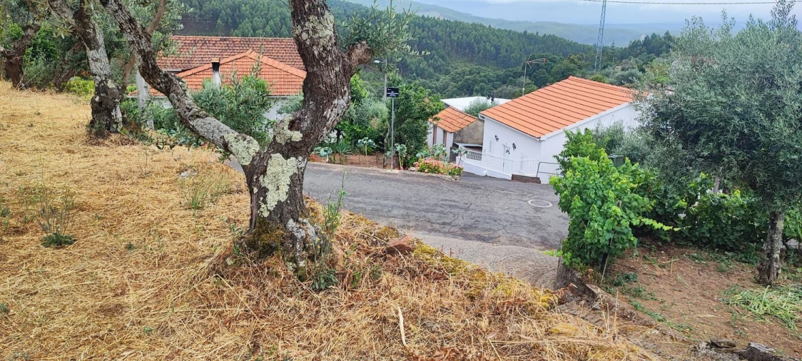 Quinta T10 para Venda em Pedrogão Pequeno Foto 81