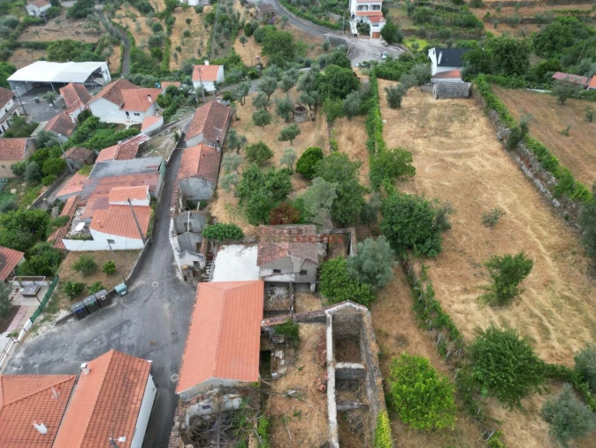 Quinta T10 para Venda em Pedrogão Pequeno Foto 4