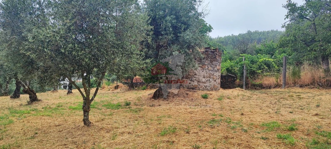 Quinta T10 para Venda em Pedrogão Pequeno Foto 85