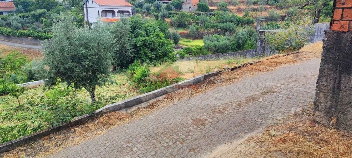Quinta T10 para Venda em Pedrogão Pequeno Foto 80