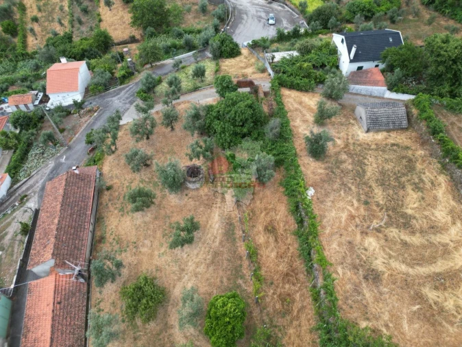 Quinta T10 para Venda em Pedrogão Pequeno Foto 3