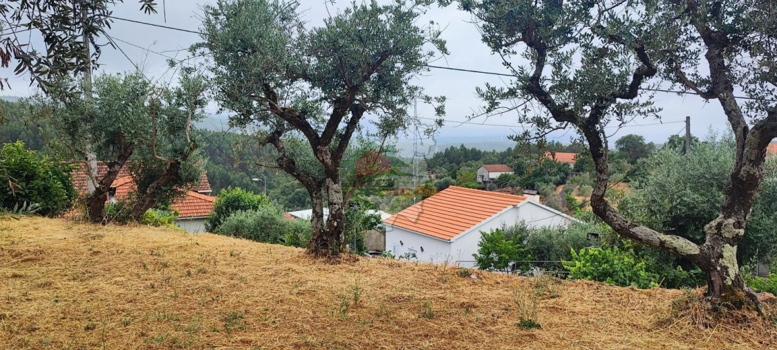 Quinta T10 para Venda em Pedrogão Pequeno Foto 79