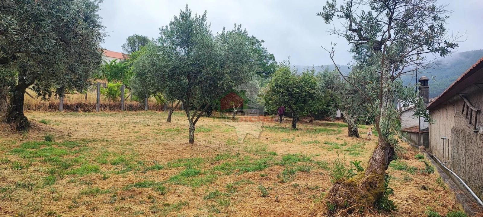 Quinta T10 para Venda em Pedrogão Pequeno Foto 83