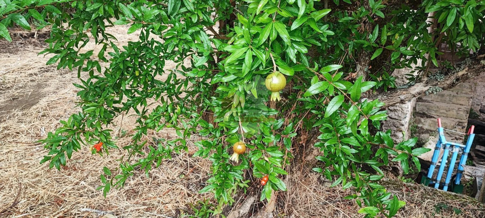 Quinta T10 para Venda em Pedrogão Pequeno Foto 88