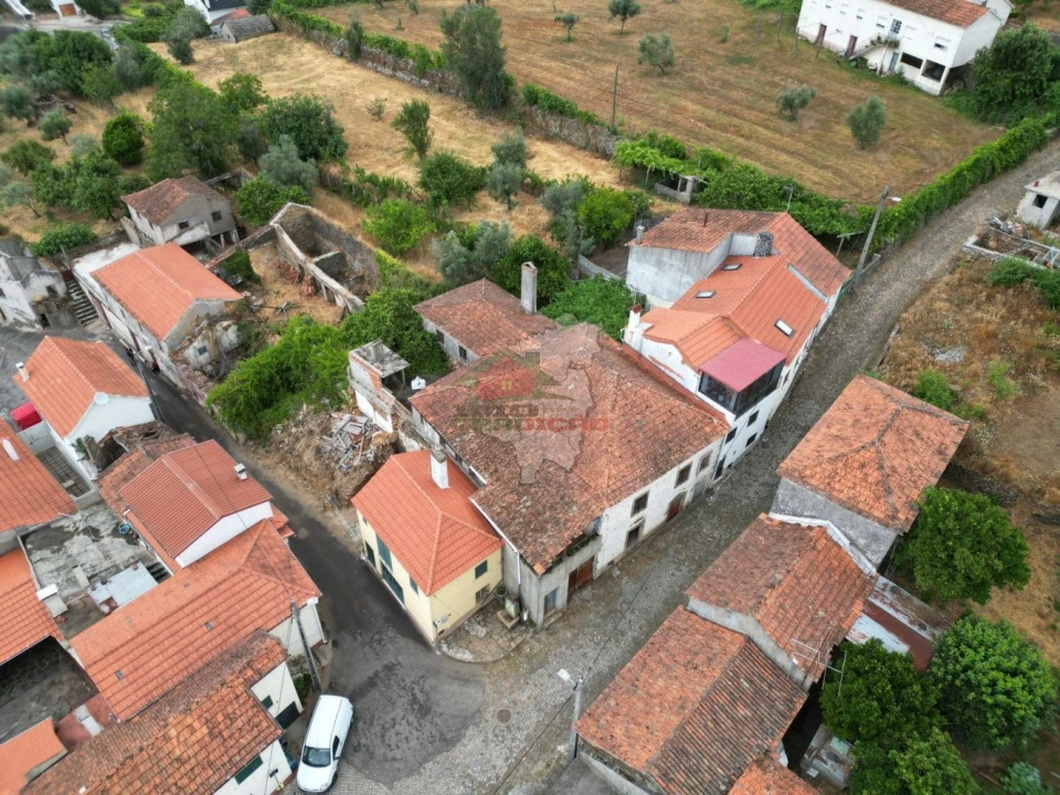 Quinta T10 para Venda em Pedrogão Pequeno Foto 1
