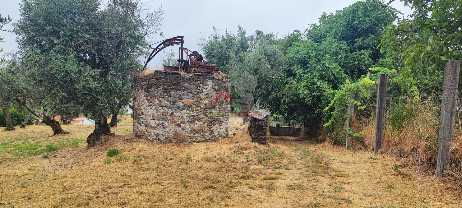 Quinta T10 para Venda em Pedrogão Pequeno Foto 74