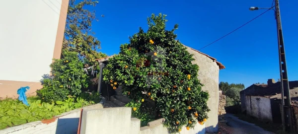 Moradia T3 para Venda em Proença-A-Nova e Peral