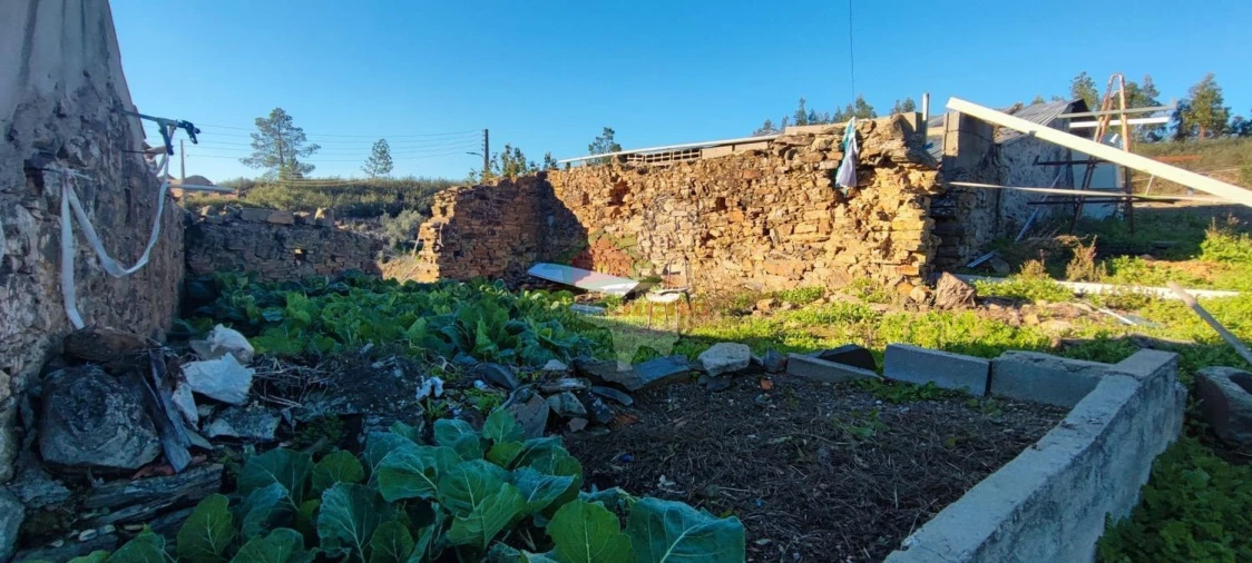 Moradia T3 para Venda em Proença-A-Nova e Peral Foto 11