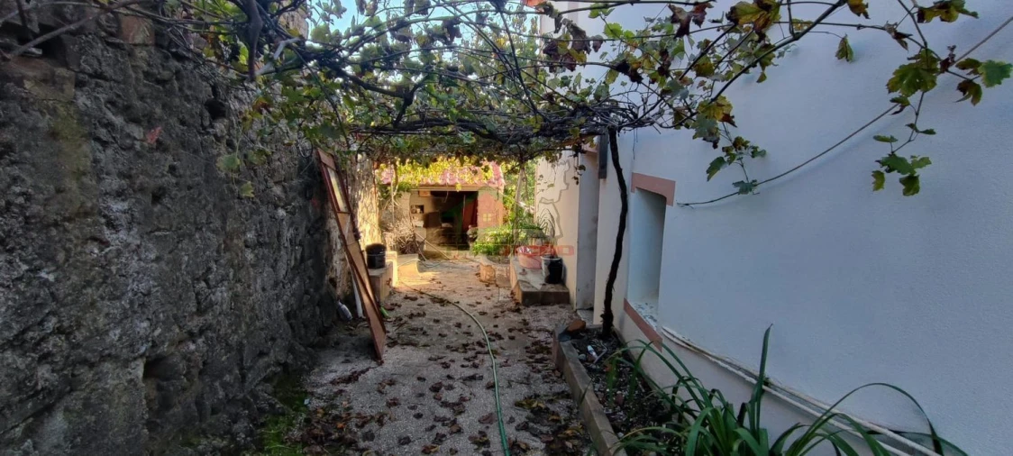 Moradia T3 para Venda em Proença-A-Nova e Peral Foto 6