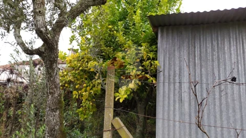 Quinta T0 para Venda em Sertã