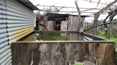 Quinta T0 para Venda em Sertã