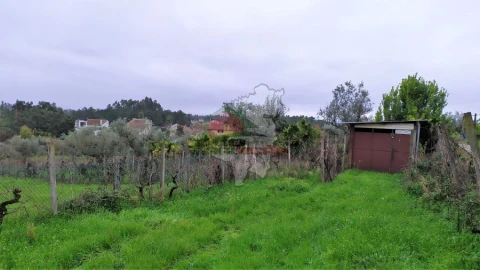 Quinta T0 para Venda em Sertã