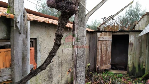 Quinta T0 para Venda em Sertã