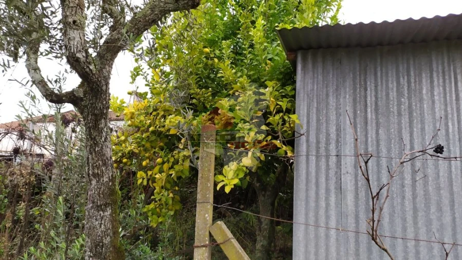 Quinta T0 para Venda em Sertã Foto 32