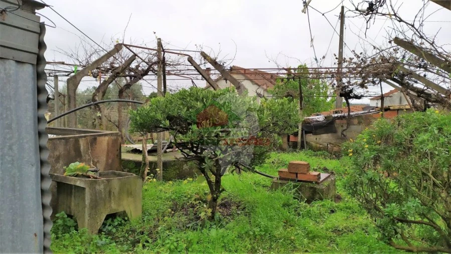 Quinta T0 para Venda em Sertã Foto 23