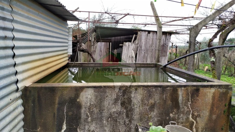 Quinta T0 para Venda em Sertã Foto 24