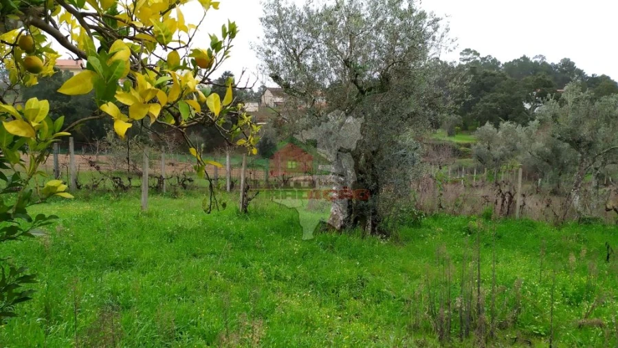 Quinta T0 para Venda em Sertã Foto 31