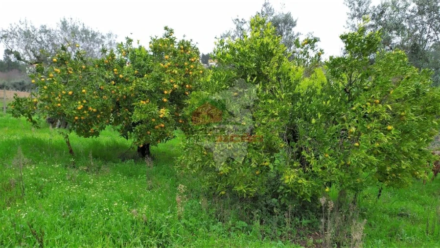 Quinta T0 para Venda em Sertã Foto 28