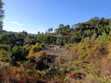Quinta T0 para Venda em Oleiros-Amieira