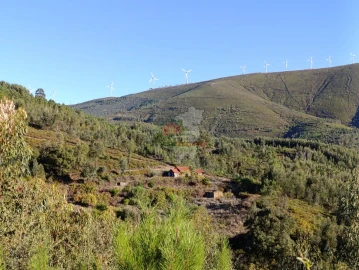 Quinta T0 para Venda em Oleiros-Amieira