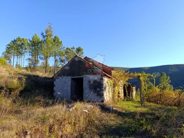 Quinta T0 para Venda em Oleiros-Amieira