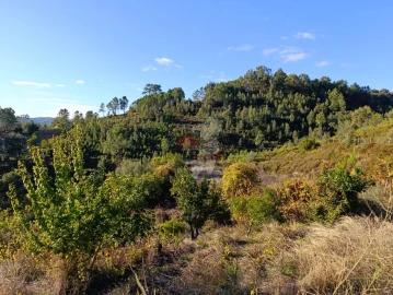 Quinta T0 para Venda em Oleiros-Amieira