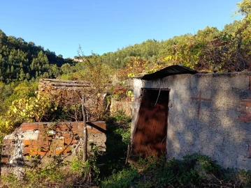 Quinta T0 para Venda em Oleiros-Amieira
