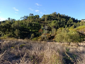 Quinta T0 para Venda em Oleiros-Amieira