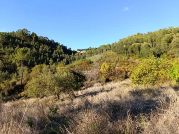 Quinta T0 para Venda em Oleiros-Amieira