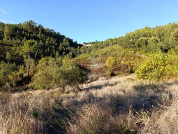 Quinta T0 para Venda em Oleiros-Amieira