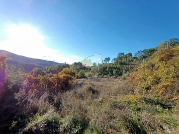 Quinta T0 para Venda em Oleiros-Amieira