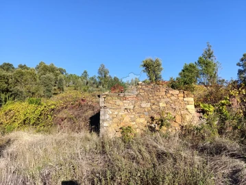 Quinta T0 para Venda em Oleiros-Amieira