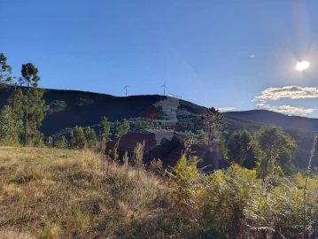 Quinta T0 para Venda em Oleiros-Amieira