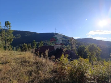 Quinta T0 para Venda em Oleiros-Amieira